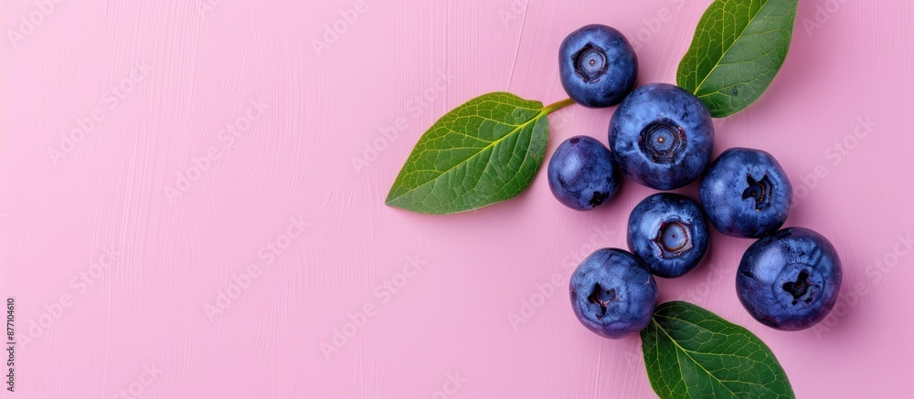 Poster Fresh ripe blueberry with vibrant green leaf isolated on a pink background, providing ample copy space for your text, in a top-down view, creating a visually appealing flat lay pattern.