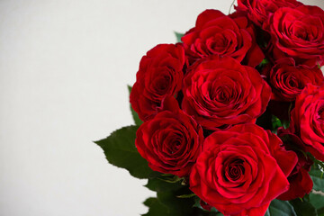 赤い薔薇