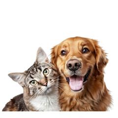 Happy Dog and Curious Cat Portrait PNG Transparency