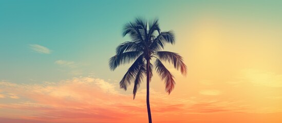 Silhouette of a tropical palm tree against a sunset sky with a cloudy abstract background creates a serene copy space image evoking a sense of summer vacation, nature travel, vintage filter style.