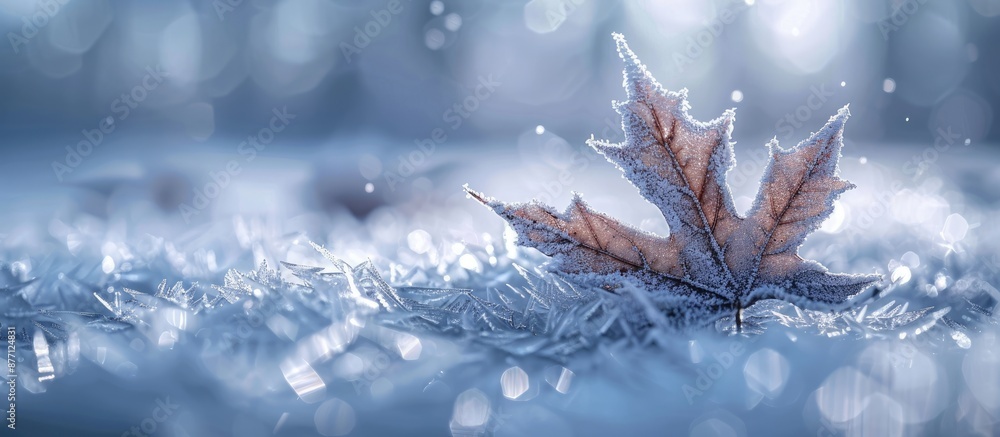 Poster a beautiful close-up winter image with a leaf covered by snow and ice, highlighting the texture and 