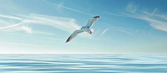 Obraz premium A seagull soaring gracefully above the ocean with a clear blue sky background in a copy space image.
