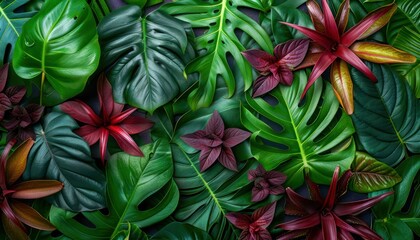 Overhead Perspective of Varied Green and Red Tropical Leaves, Artistic Layout, Variety of Backdrops for Design