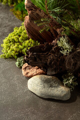 Northern natural composition with lichen, moss, pine branches and driftwood.