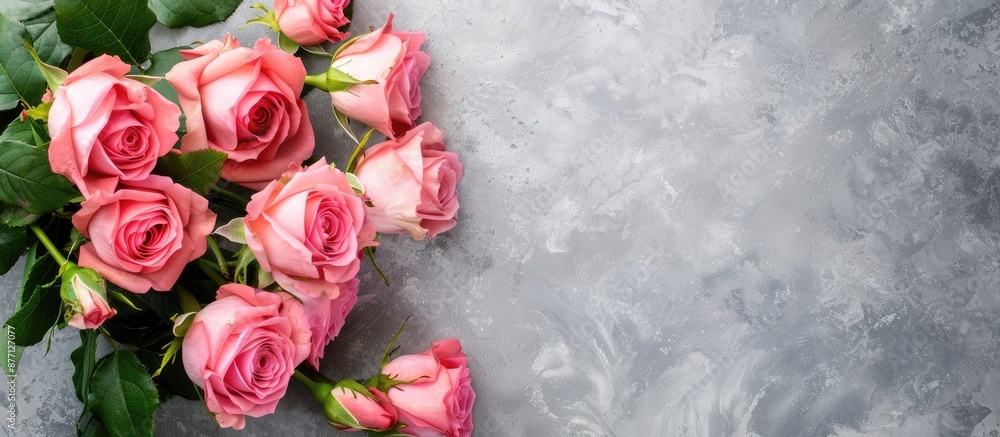Poster pink roses bouquet seen from above on a blank backdrop with copy space image.