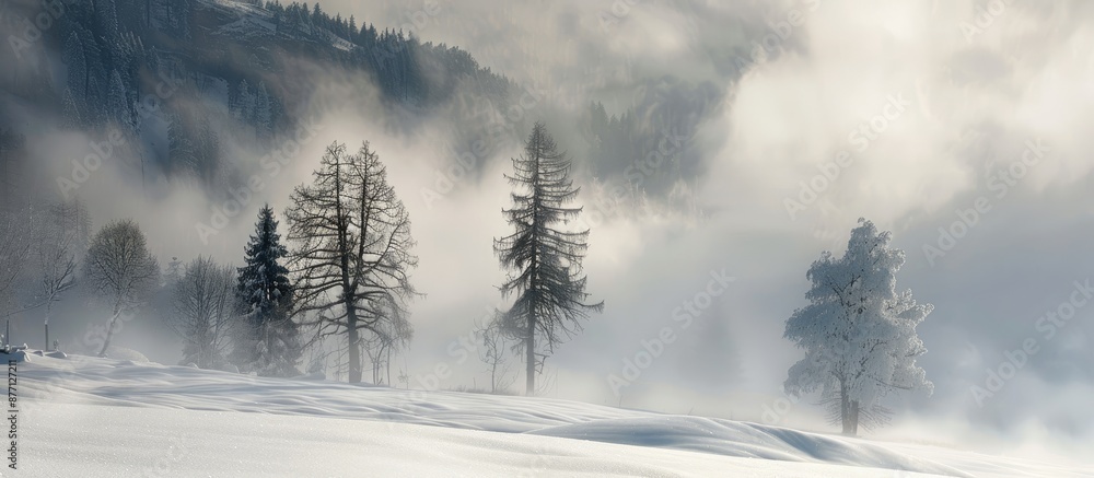 Poster scenic mountain blizzard with clouds, fog, and trees in mist on a snow-covered meadow on a cold wint