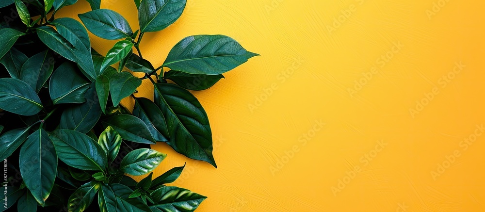 Poster a green leafy plant positioned on a vibrant yellow backdrop in the lower left corner with open space