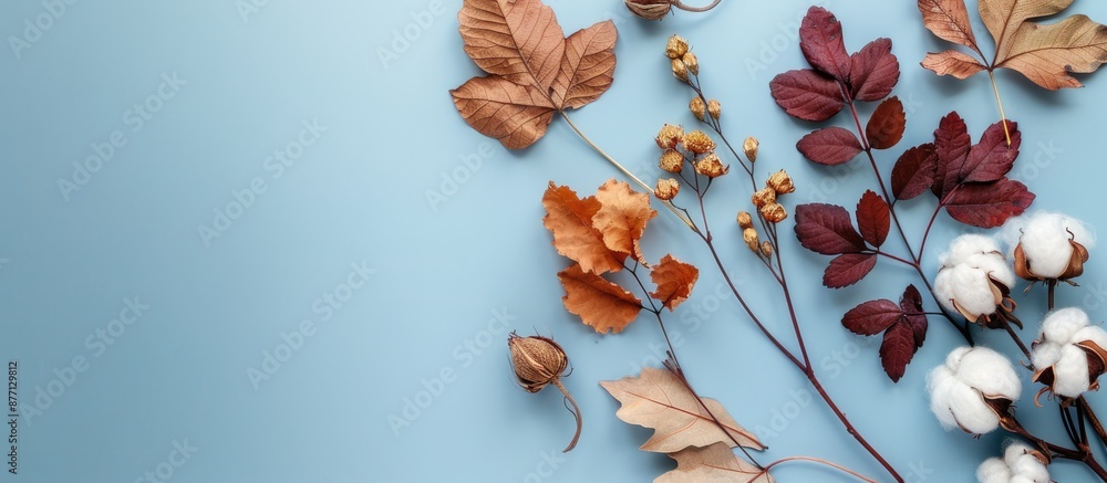 Poster autumn-themed arrangement with cotton flowers and dried leaves on a light blue backdrop for fall con