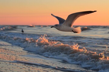 Fototapeta premium Seagull flying over ocean waves on the beach at sunset with other birds in the distance