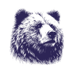 bear vector, bear silhouette