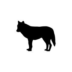 Wolf silhouette on white background 
