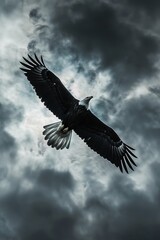 Obraz premium An eagle flies through a clouded sky, wings extended, head raised