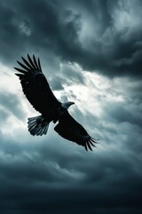 Fototapeta premium A bald eagle flies against cloudy backdrop in this monochrome image Dark clouds dominate the background