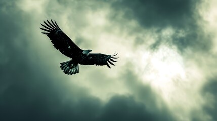 Fototapeta premium Bird flying in the air against a cloudy backdrop; Foreground holds another bird