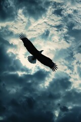 Fototapeta premium bird in flight against cloudy sky, sun glowing through clouds