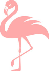 Flamingo - Bird Design