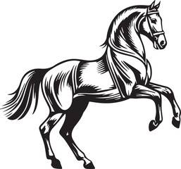 black and white horse