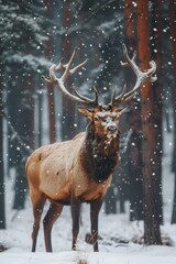  A deer, antlers adorned, stands before a forest, snowfall cascading onto tree branches and ground