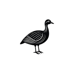 goose isolated on white bird, duck, goose, animal, nature, isolated, wildlife, geese, beak, white, water, feathers, feather, mallard,  