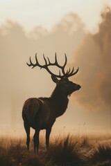  A deer, featuring large antlers, stands in a field against a backdrop of foggy trees and sky