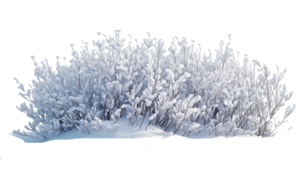 Beautiful Snowy Bush with Frosted Branches, isolated on transparent background
