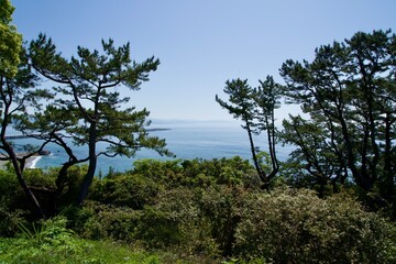 View of Katsurahama Beach from the Kochi Lighthouse Viewpoint