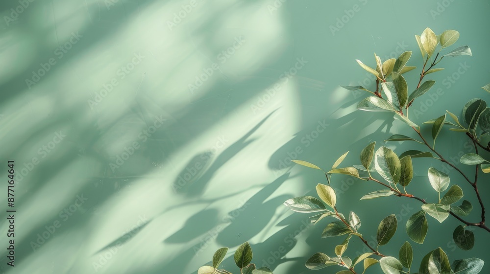Poster pear branches on a soft green solid color backdrop