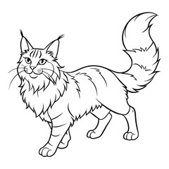 Obraz premium Maine coon cat breeds animal pet minimal outline art
