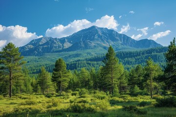 Obraz premium Mountain Landscape with Forest