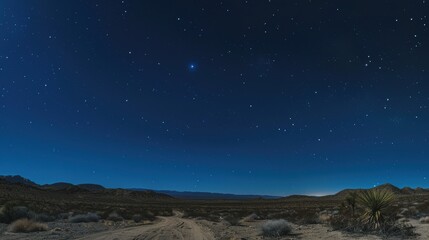 Tranquil Night Sky Over Desert Wilderness