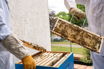 Apiculteur qui s'occupe de ruches pour r&eacute;colter du miel