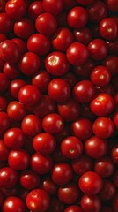 Flat Lay View of Tomatoes in Full Frame. Background of Fresh Vegetables and Fruits