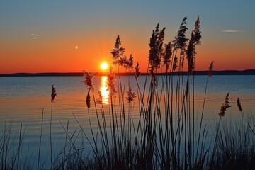 Obraz premium Sunset Over Tranquil Lake With Reed Silhouettes