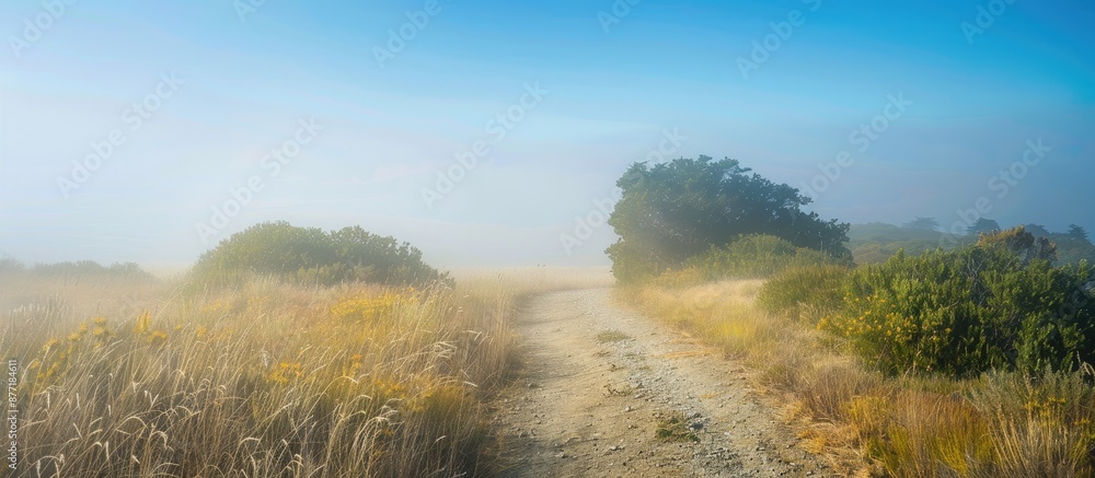 Aufkleber Scenic walking trail within a foggy setting with a blue sky backdrop perfect for photos with a large blank space for text or graphics. with copy space image. Place for adding text or design