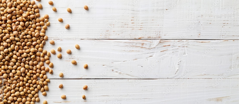 Poster Two rows of soybeans on a white wooden table with room for text in the image Soybeans are edible seeds from a leguminous plant native to Asia. with copy space image. Place for adding text or design
