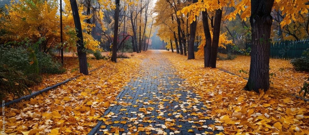 Aufkleber clear day in the autumn park with fallen bright yellow leaves on the path providing copy space image
