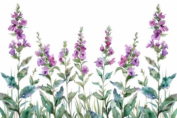 Fototapeta premium Watercolor illustration of beautiful purple flowers with green leaves in a colorful botanical arrangement on a white background.