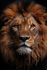 Fototapeta premium Close Up of a lions face on a black background, generative IA