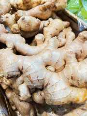 Fresh Organic Ginger Root Pile for Sale