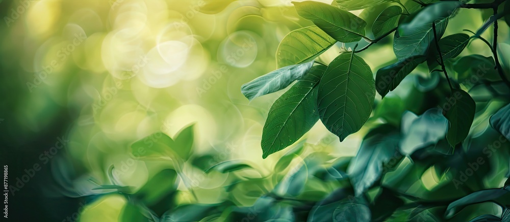 Poster Selective focus with a shallow depth of field on fresh green leaves creating a background with copy space image