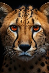 Close the portrait of majestic Cheetah looking generated by ia, generative IA