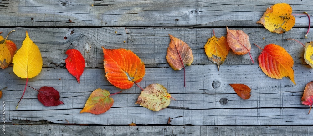 Poster autumn leaves displayed on a wooden surface with copy space image