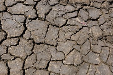 Wall texture soil dry crack pattern of drought lack of water of nature brown old broken background.