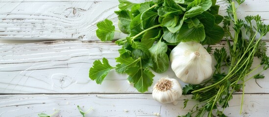 Various green herbs like sorrel tarragon and turnip cabbage leaves paired with a garlic bulb resting on a white wood background creates a serene copy space image