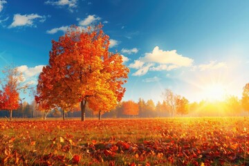 Stunning autumn landscape with a sunlit tree, vibrant red and orange leaves, and a bright blue sky on a sunny day.