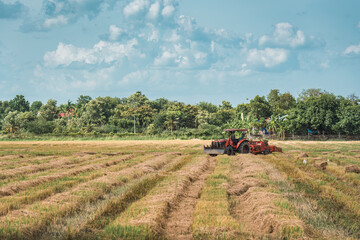 Naklejka premium Tractor working on rice filed during harvest season in farmland