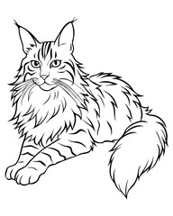 Obraz premium Maine coon cat breeds animal pet minimal outline art