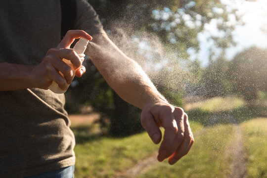 Prevention against mosquito bite during sunny summer day. Man is applying insect repellent on his hand..