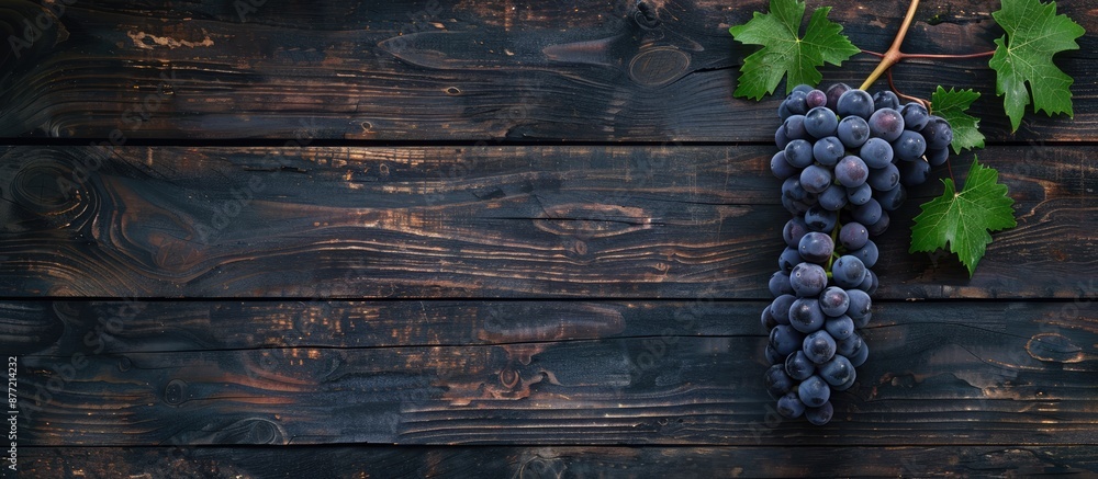Aufkleber Top view of a black grape branch against a dark wooden backdrop showcasing a botanical berry plant ideal for promoting healthy eating with ample copy space for text