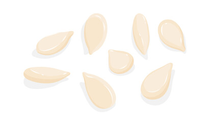White sesame seeds isolated on white background in flat vector illustration.
